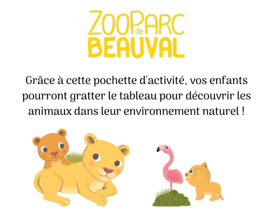 Activité bébé