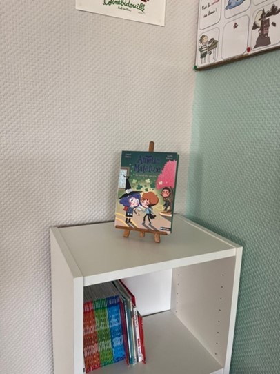 Amélie Maléfice livre