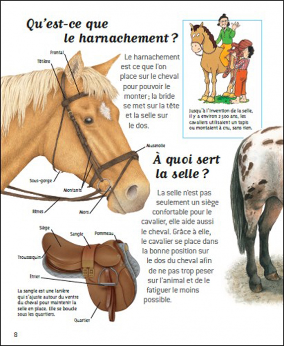 Exposé Sur Les Chevaux A Imprimer