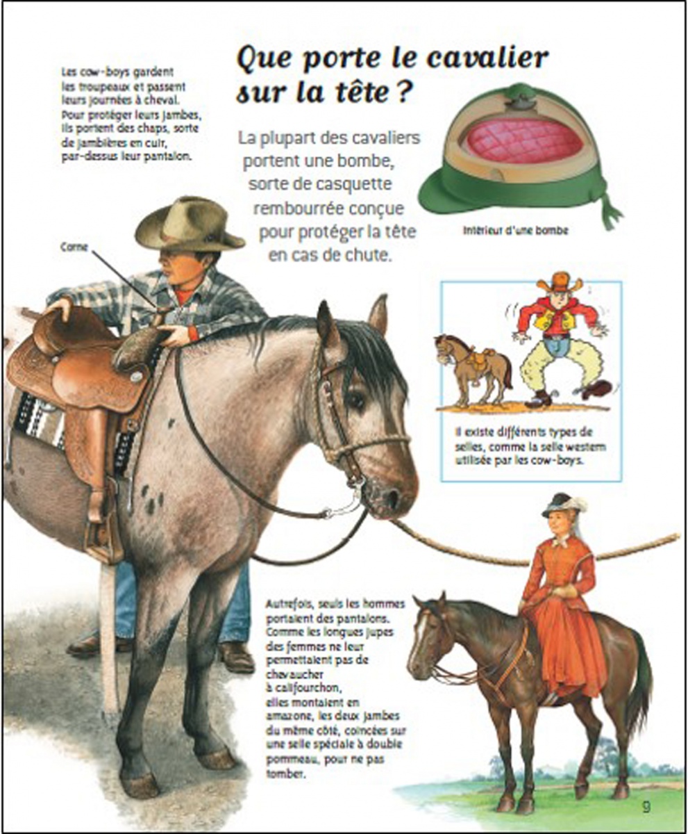 Exposé Sur Les Chevaux A Imprimer Passion chevaux - Questions/Réponses - doc dès 7 ans | Nathan