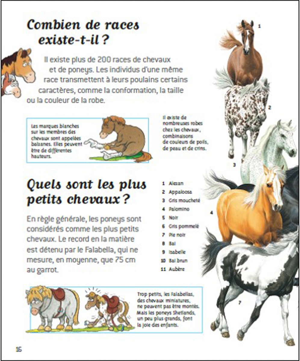 Exposé Sur Les Chevaux A Imprimer Passion chevaux - Questions/Réponses - doc dès 7 ans | Nathan