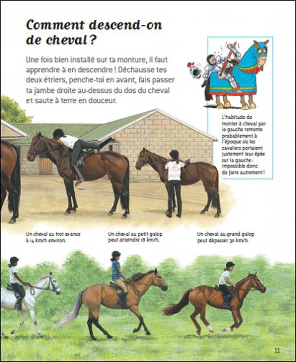 Exposé Sur Les Chevaux A Imprimer Passion chevaux - Questions/Réponses - doc dès 7 ans | Nathan