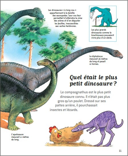 4/8/16/32/48 Pièces Revivez L'époque Dino Sur Votre Garde - Temu
