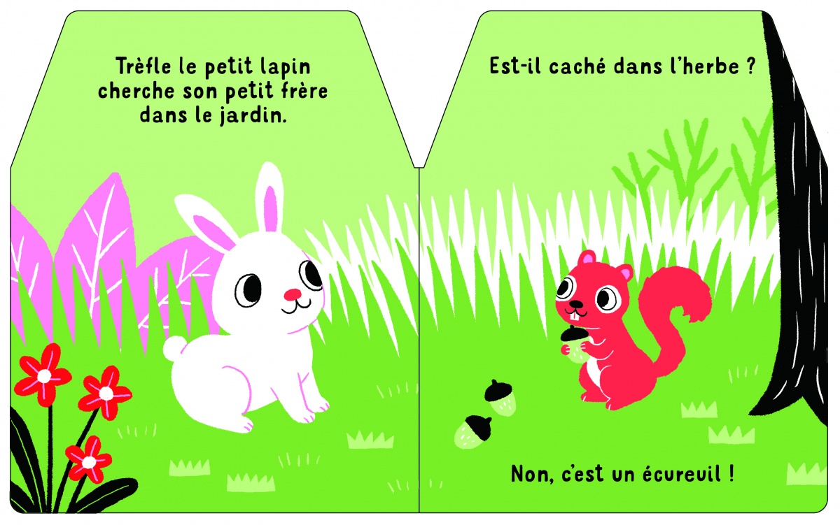 Cache cache - Cours Lapin
