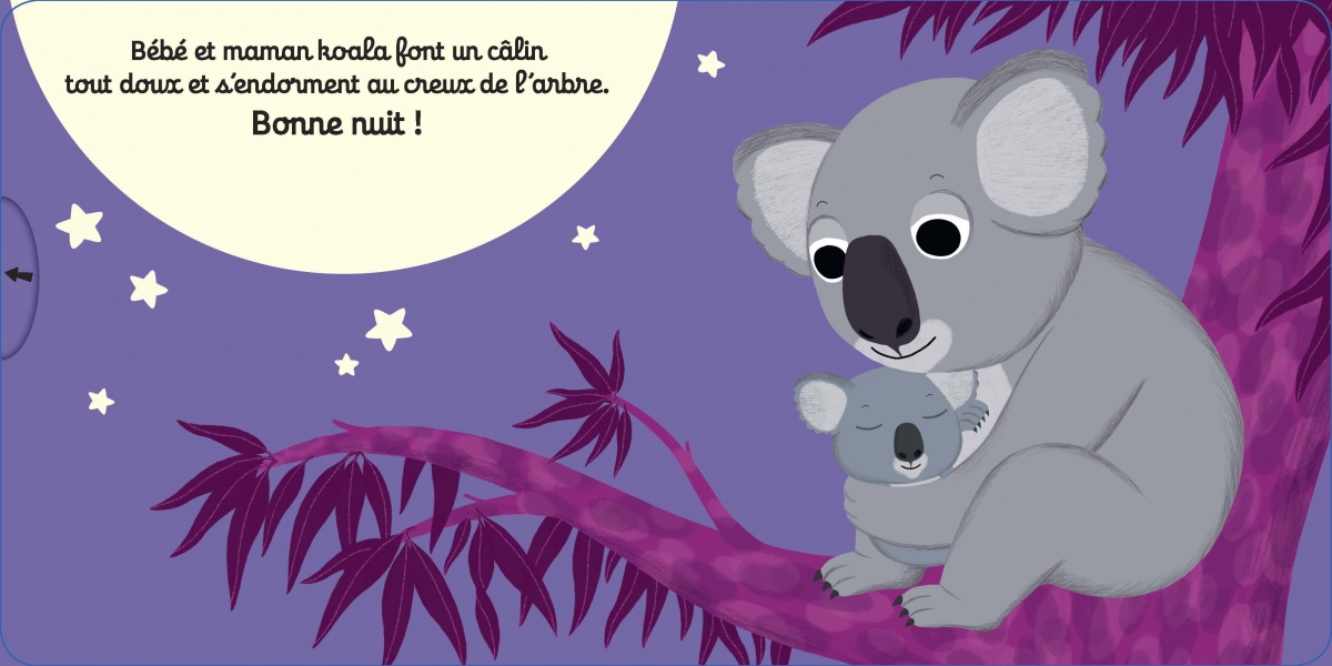 Bonne Nuit Bebe Koala Livre D Eveil Anime Pour Les Bebes Des 1 An Nathan Bonne Nuit Bebe Koala Livre D Eveil Anime Pour Les Bebes Des 1 An Nathan