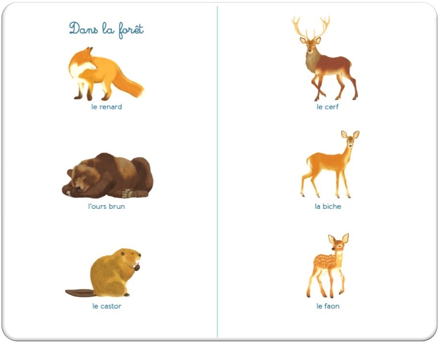 Imagier Montessori bébé bilingue Français Anglais: 100 animaux de la ferme,  mer, savane, jungle, forêt, Livre enfant 3-4 ans by Éveil Montessori