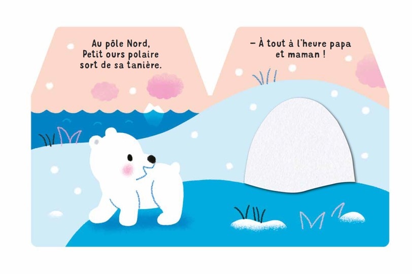 Cache-Cache petit ours polaire - Livre d'éveil - Dès 6 mois