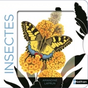 Insectes - Un livre animé avec des silhouettes dans des décors chatoyants - Dès 6 mois