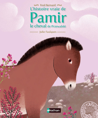 L'histoire vraie de Pamir le cheval de Przevalski
