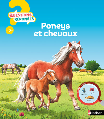 Poneys et chevaux - Questions/Réponses  - doc dès 5 ans