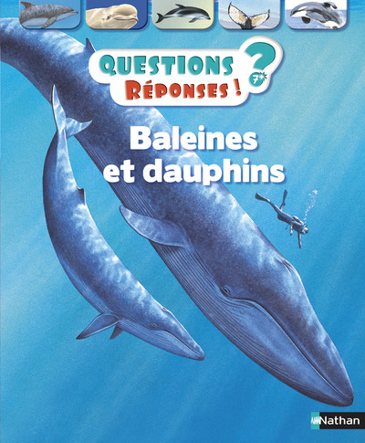 Baleines et dauphins - Questions/Réponses - doc dès 7 ans