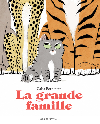 La grande famille -  Un livre drôle sur le thème de l'identité et de la différence - Dès 3 ans