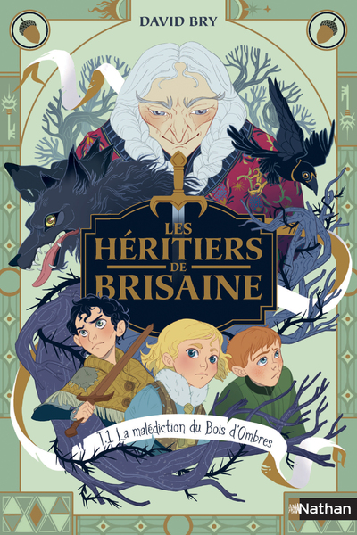 Les Héritiers de Brisaine - La malédiction du bois d'Ombres - tome 1/5 - Roman Fantasy dès 9 ans