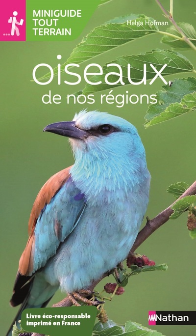 Oiseaux de nos régions - Miniguide nature tout-terrain - Tout public