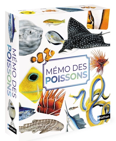 Mémo des poissons - Jeu éducatif 3 niveaux avec livret documentaire - 60 cartes - Dès 4 ans